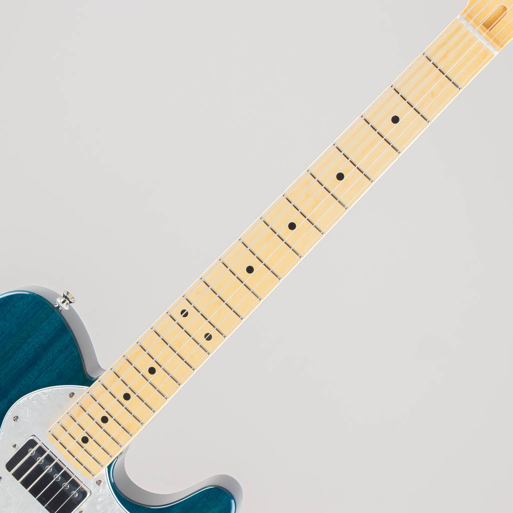 FUJIGEN(FGN) NTE110MMHT / Transparent Blue フジゲン サブ画像5