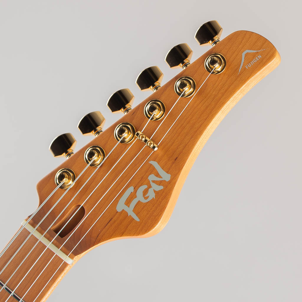 FUJIGEN(FGN) EIL-EW1-HS-RM / Hojicha Burst フジゲン サブ画像4