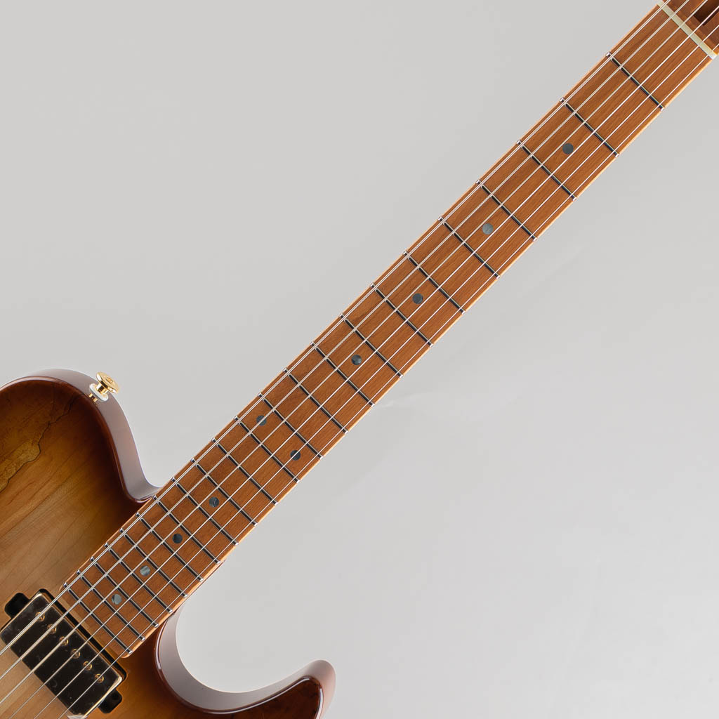 FUJIGEN(FGN) EIL-EW1-HS-RM / Hojicha Burst フジゲン サブ画像5