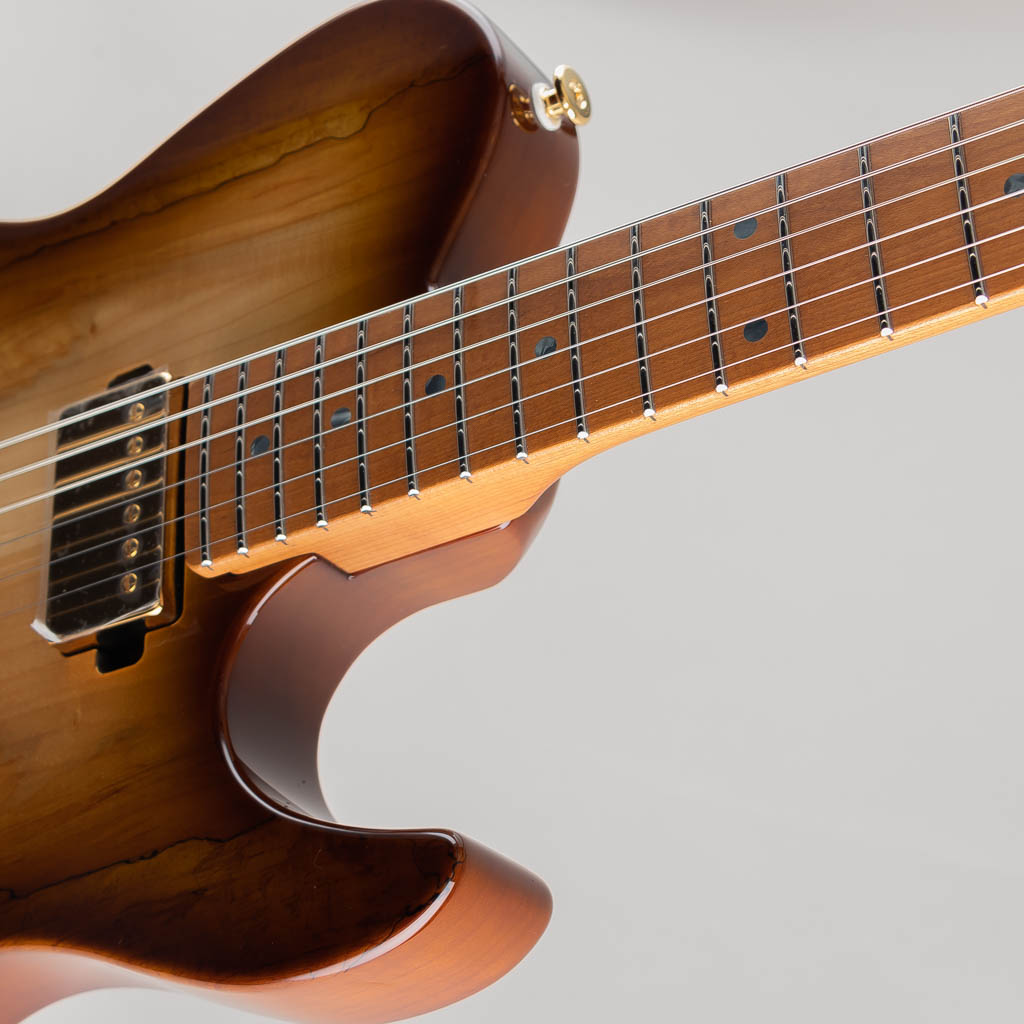 FUJIGEN(FGN) EIL-EW1-HS-RM / Hojicha Burst フジゲン サブ画像6