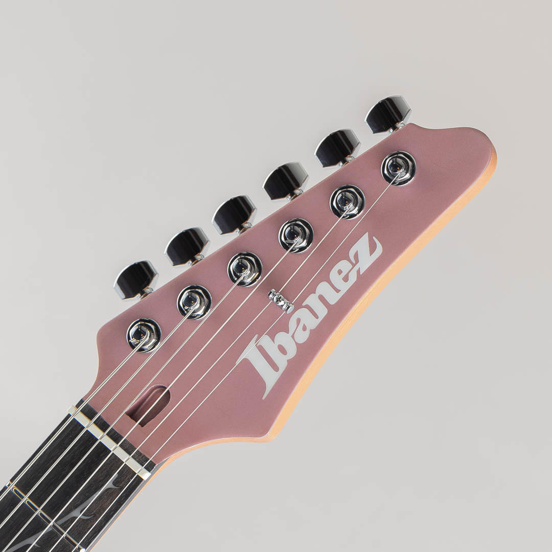 IBANEZ TOD10 Tim Henson Signature / Metallic Mauve アイバニーズ サブ画像4