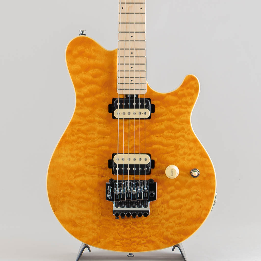 Sterling by MUSIC MAN AX40 / Trans Gold スターリン