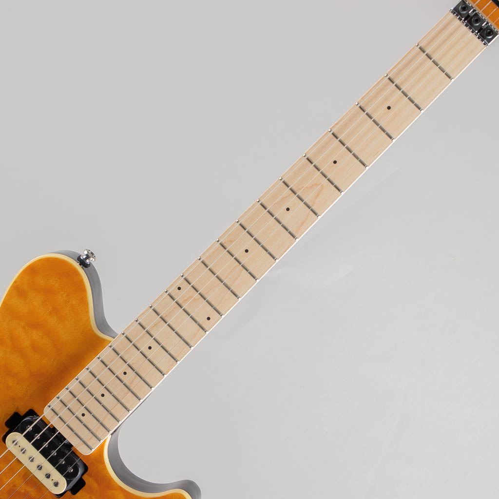 Sterling by MUSIC MAN AX40 / Trans Gold スターリン サブ画像5