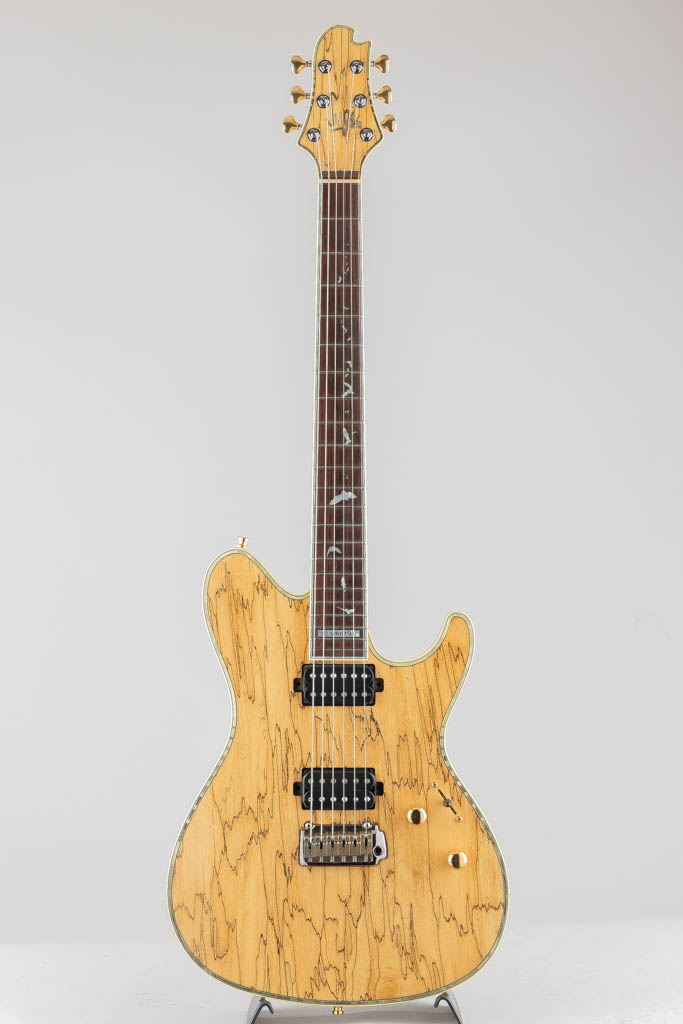 Sugi DS496HC TT/SPL-TT/100 スギギター サブ画像2