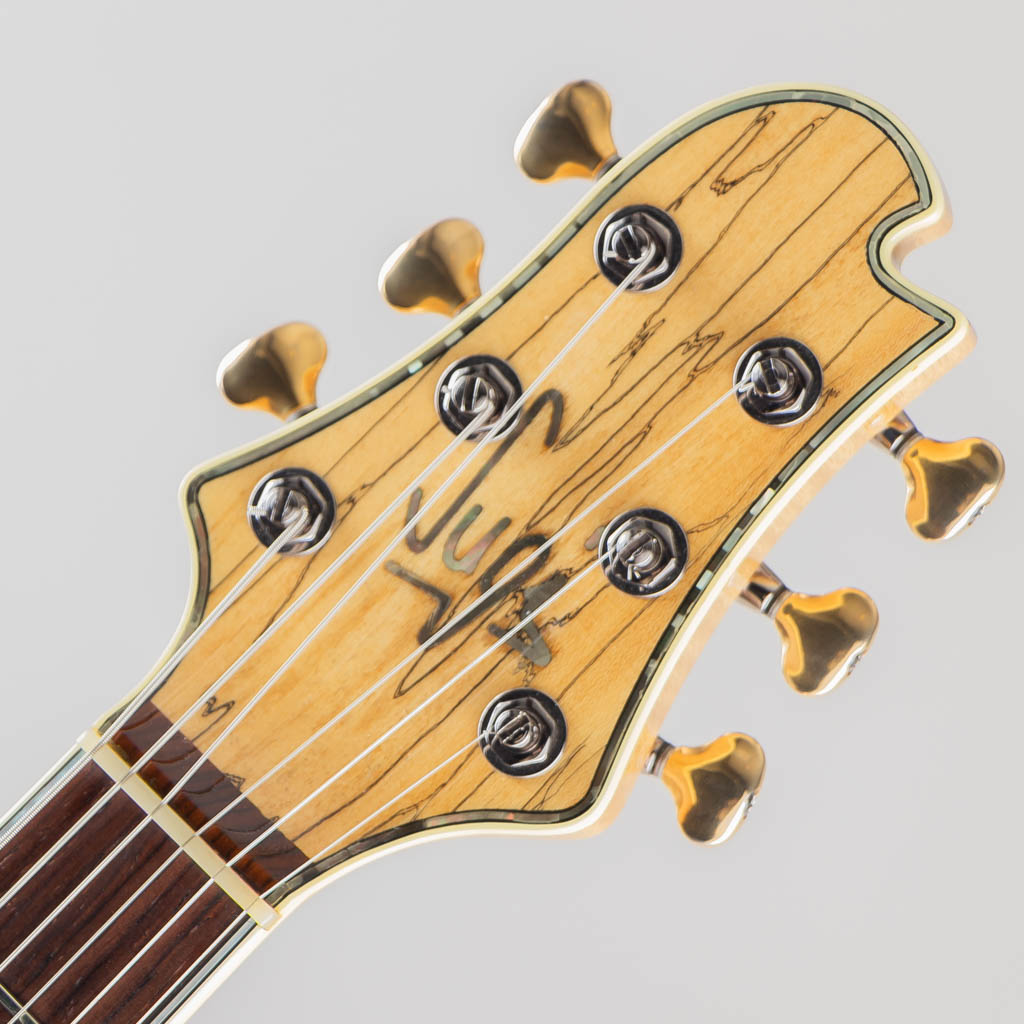 Sugi DS496HC TT/SPL-TT/100 スギギター サブ画像4