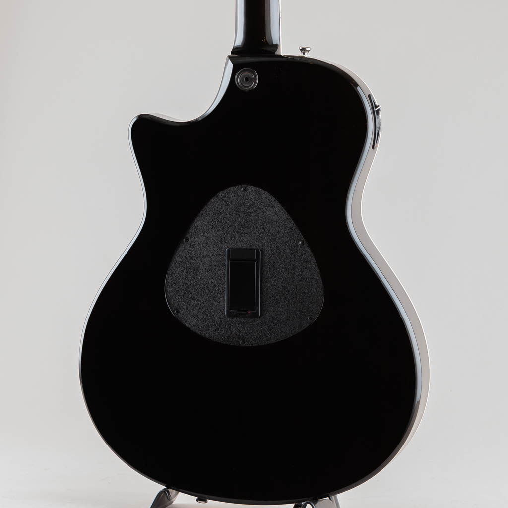 TAYLOR T5-S1 / Transparent Black テイラー サブ画像12