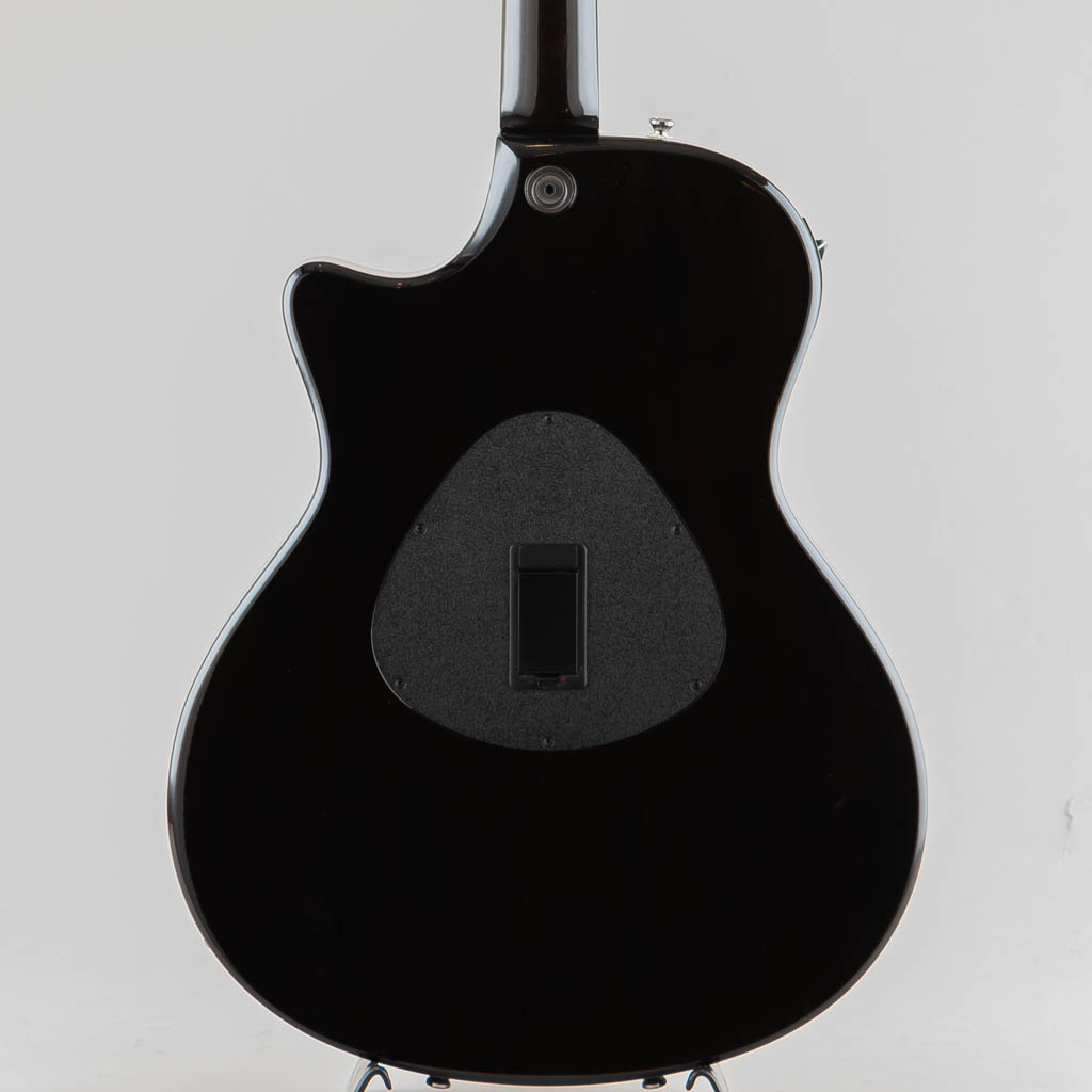 TAYLOR T5-S1 / Transparent Black テイラー サブ画像1