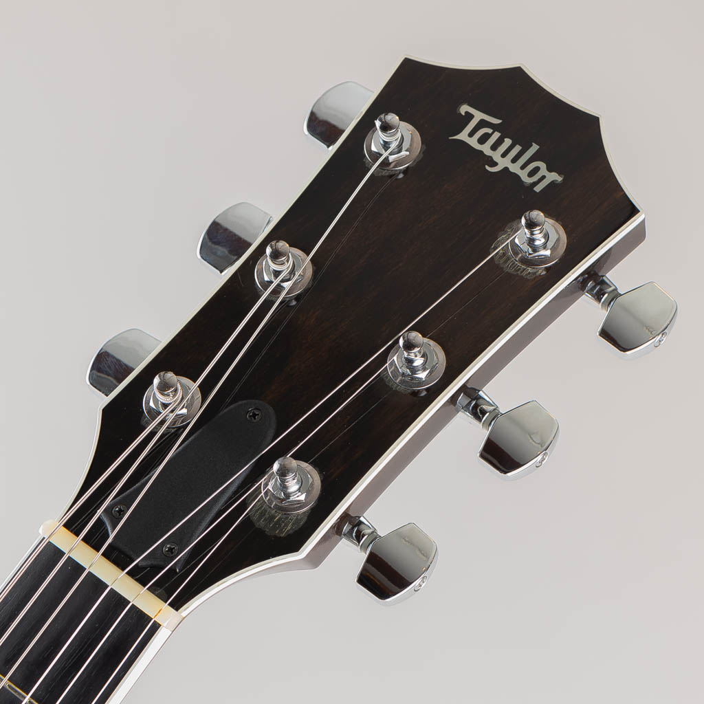 TAYLOR T5-S1 / Transparent Black テイラー サブ画像4