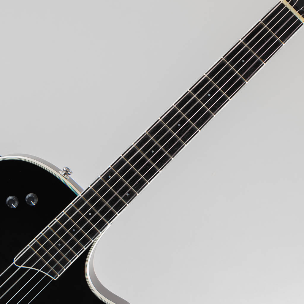 TAYLOR T5-S1 / Transparent Black テイラー サブ画像5