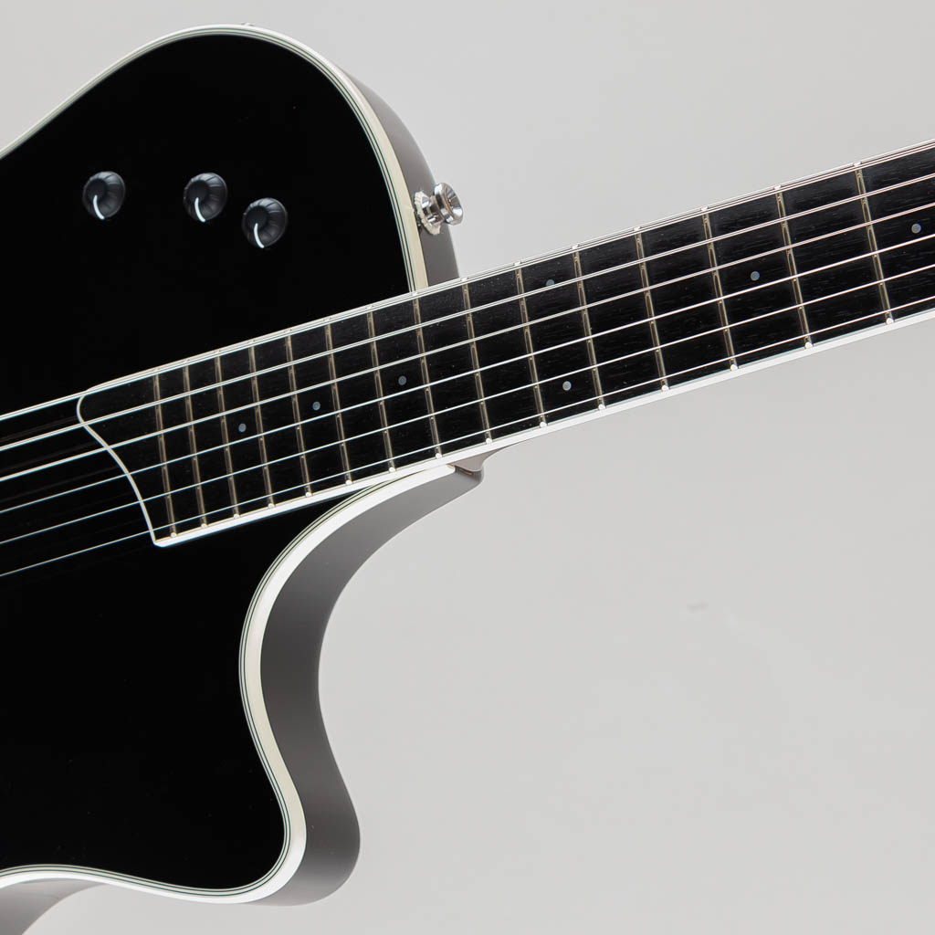 TAYLOR T5-S1 / Transparent Black テイラー サブ画像6