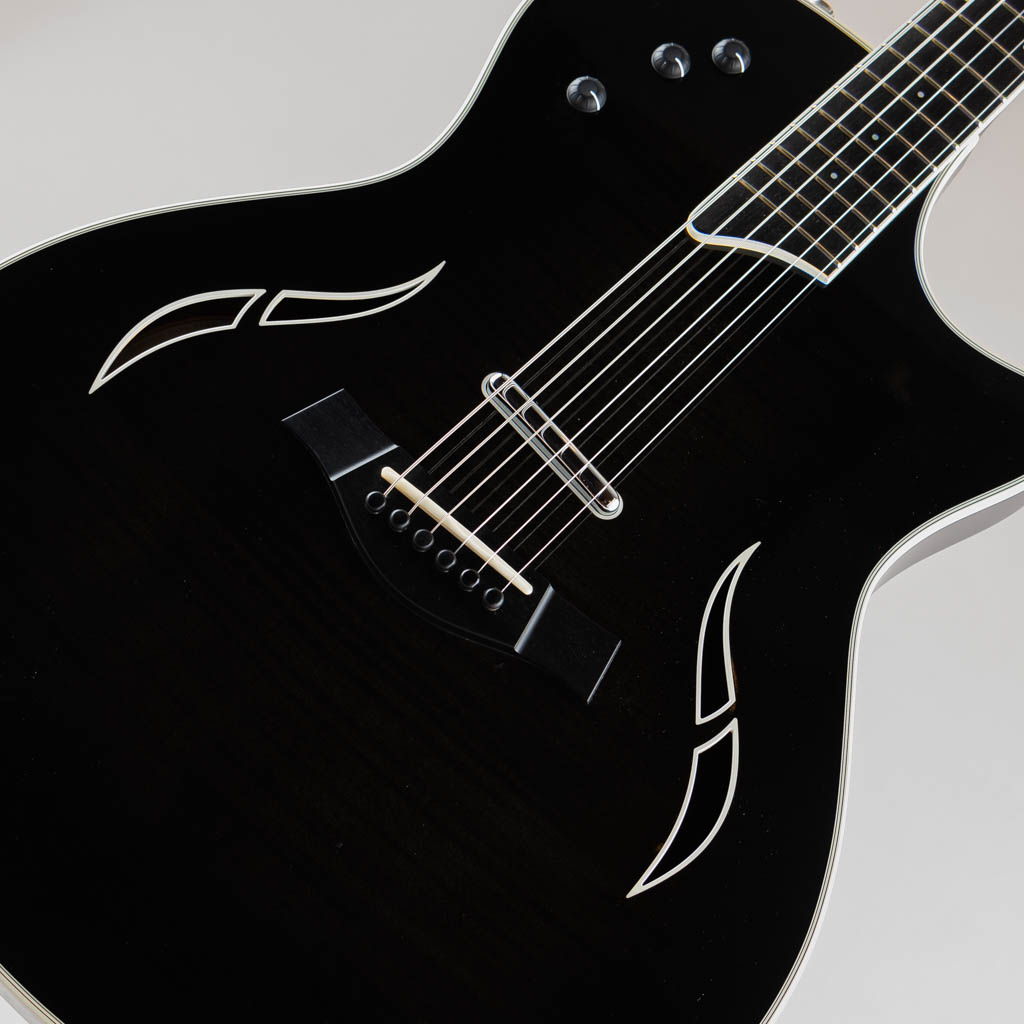 TAYLOR T5-S1 / Transparent Black テイラー サブ画像7