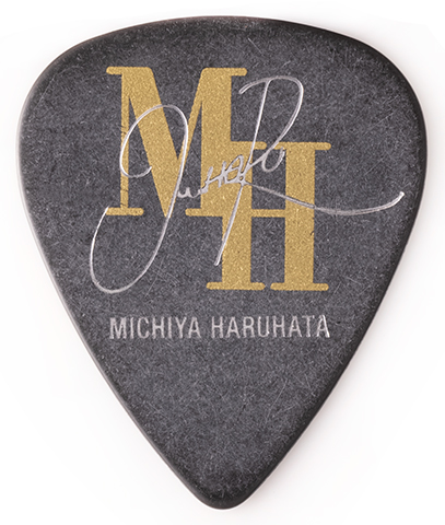 FENDER Artist Signature Pick Michiya Haruhata 10枚セット フェンダー サブ画像3