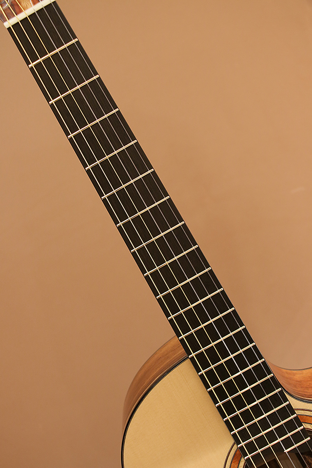 Ryosuke Kobayashi Guitars Nylon Crossover Electric Granadillo 小林良輔 サブ画像5