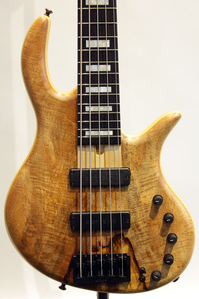 Elrick Gold Series e-volution 5st エルリック