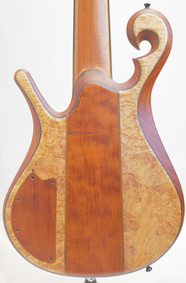 Carl Thompson Scroll Bass 6st Spalted Maple Top カール　トンプソン サブ画像1