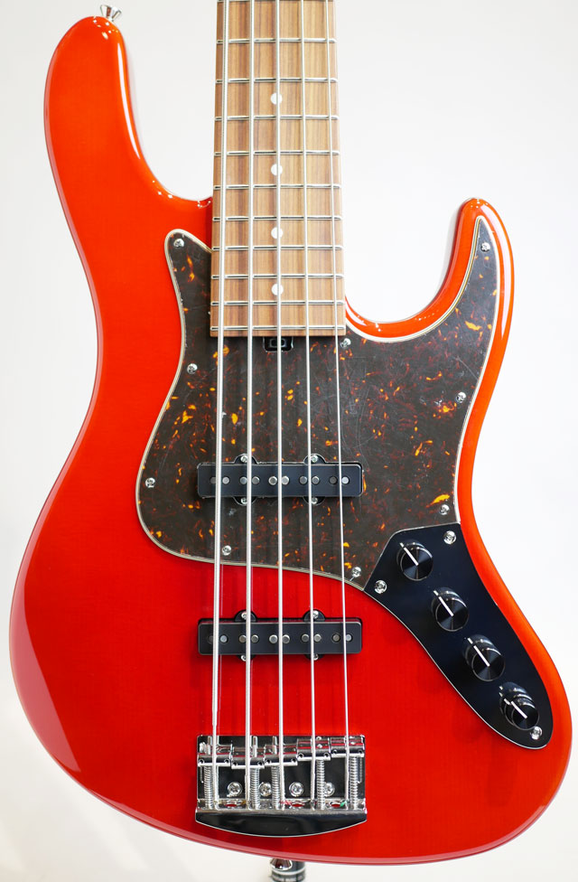 Custom Bass 5st Spruce Top "Trans Carmine Red"