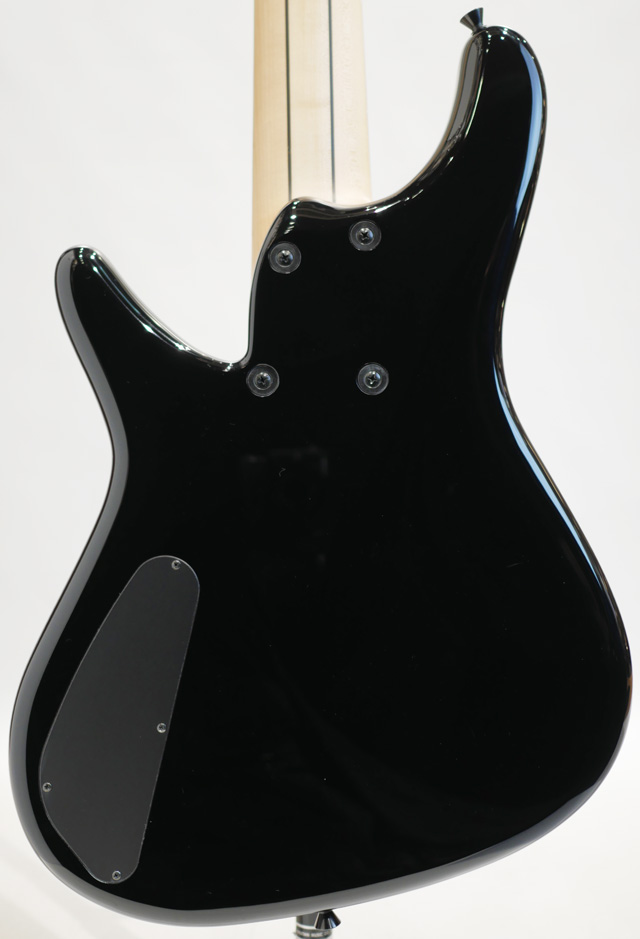 Sugi NB5E SL-ASH/FIV スギギター サブ画像1