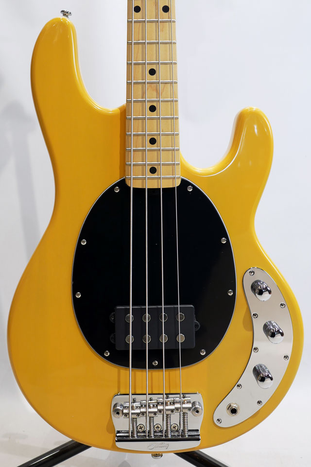 Sterling by MUSIC MAN STINGRAY RAY24CA (Butterscotch) 商品詳細
