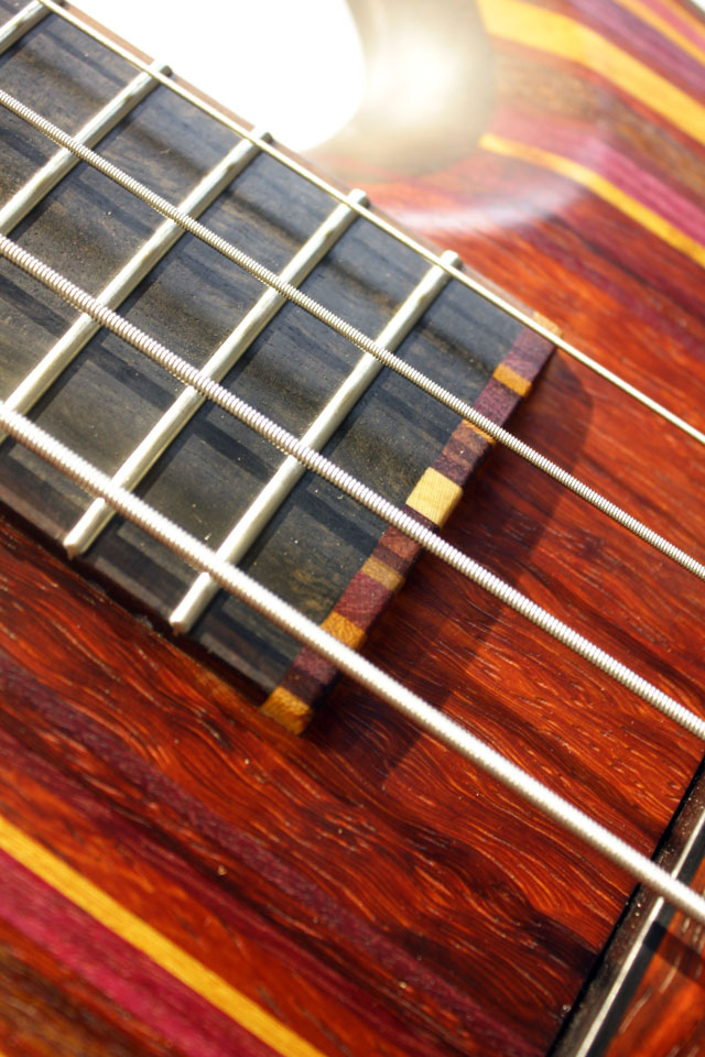 Carl Thompson Rainbow Bass 4 strings【試奏動画有り】 カール　トンプソン サブ画像11