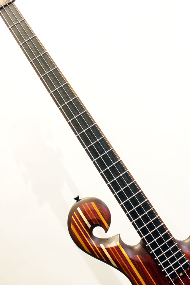 Carl Thompson Rainbow Bass 4 strings【試奏動画有り】 カール　トンプソン サブ画像4