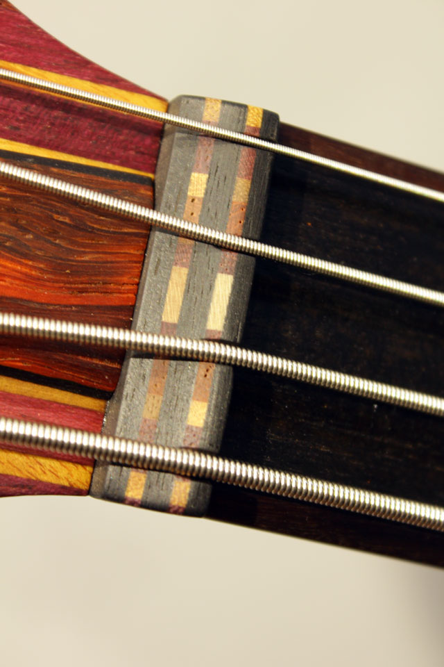 Carl Thompson Rainbow Bass 4 strings【試奏動画有り】 カール　トンプソン サブ画像8