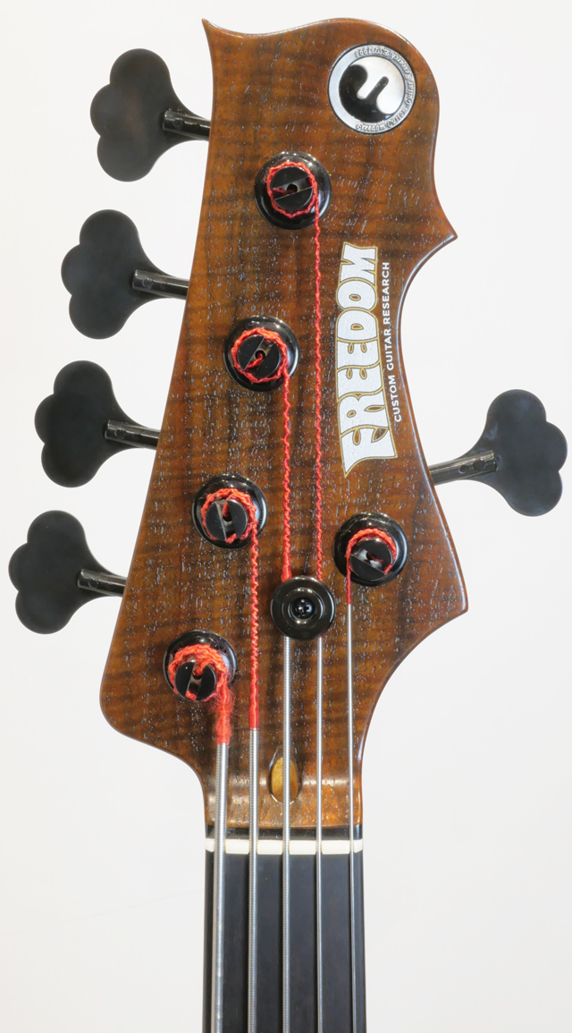 FREEDOM CUSTOM GUITAR RESEARCH O.S Rhino 5st Fretless Walnut Top フリーダム サブ画像6