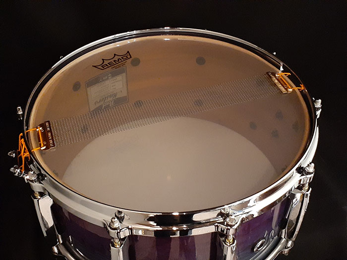 Pearl 【ファクトリーオーダー特注】Masters MAPLE/GUM MMG1465S/C Sapphaire Fade Over Tamo パール サブ画像8