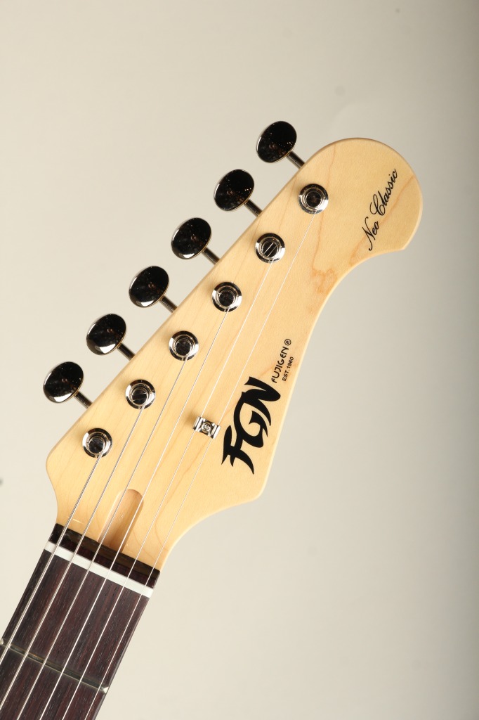 FUJIGEN(FGN) NTE100RAL-BK -Black- 【S/N H240456】 フジゲン サブ画像6