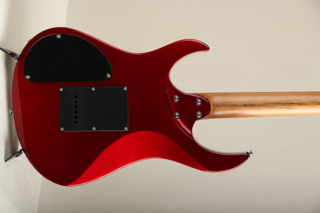 Carparelli Guitars Carparelli Infiniti SI-CAR カパレリ・ギターズ サブ画像2