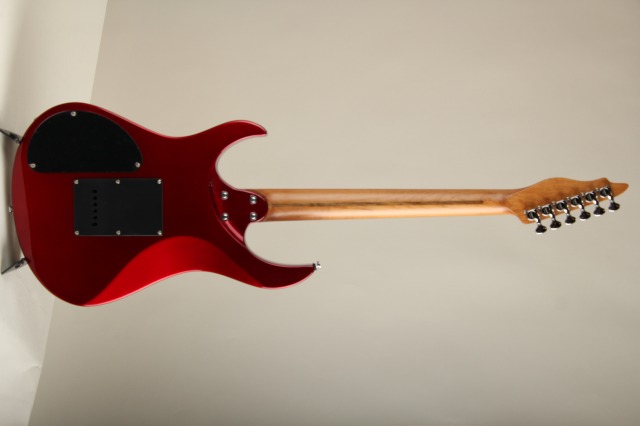 Carparelli Guitars Carparelli Infiniti SI-CAR カパレリ・ギターズ サブ画像3