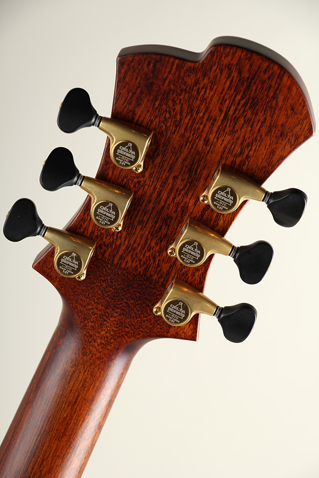 Victor Baker Guitars Ergonomic Semi hollow ヴィクター ベイカー サブ画像12