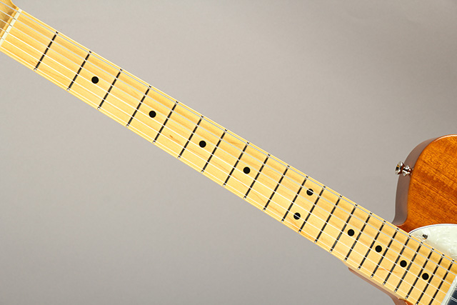 K.Nyui Custom Guitars KNTE Thinline Left Hand Mahogany Body S/N:KN1577 乳井 サブ画像5