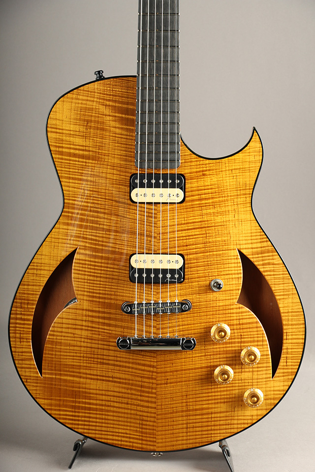Semi-Hollow Torrefied Figured Maple Top / Amber