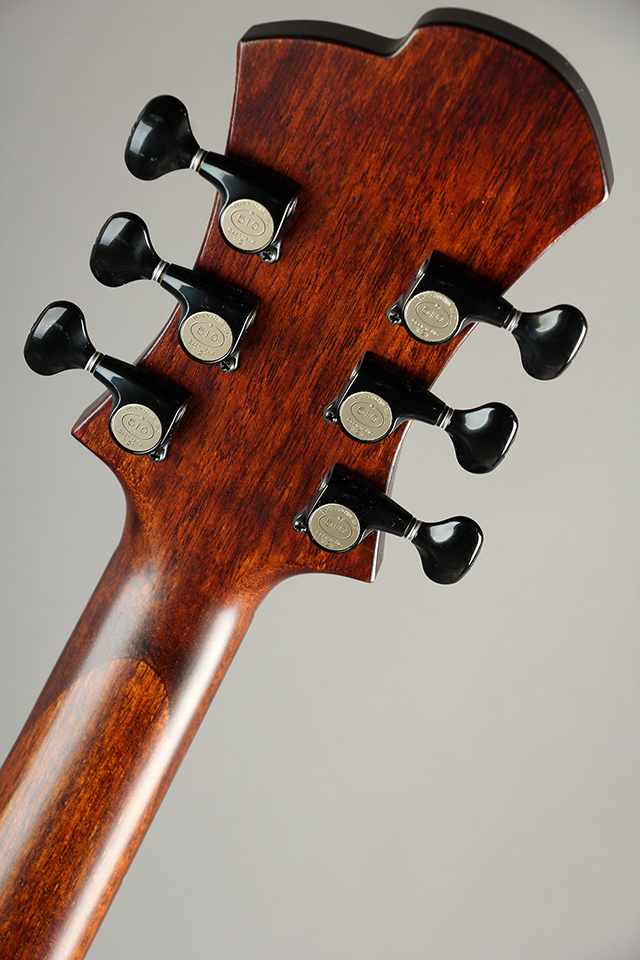 Victor Baker Guitars Model 15 Archtop 1 Pickup ヴィクター ベイカー サブ画像10