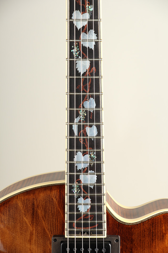 Victor Baker Guitars Model 15 Archtop Special Edition #600 ヴィクター ベイカー サブ画像9