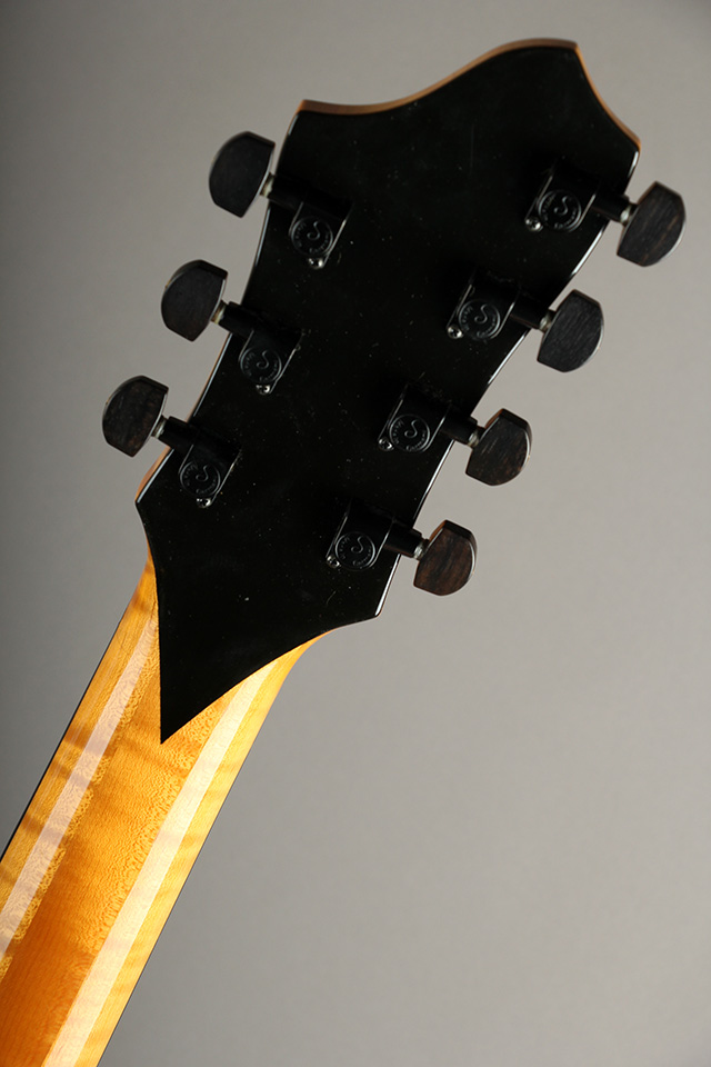 American Archtop Guitars American Dream 7st アメリカン・アーチトップ・ギターズ サブ画像10