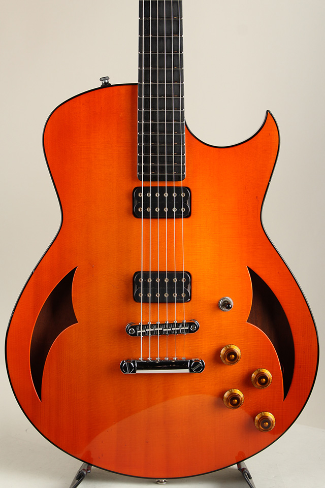 Semi-Hollow Arch Top Stop Tail piece 2014