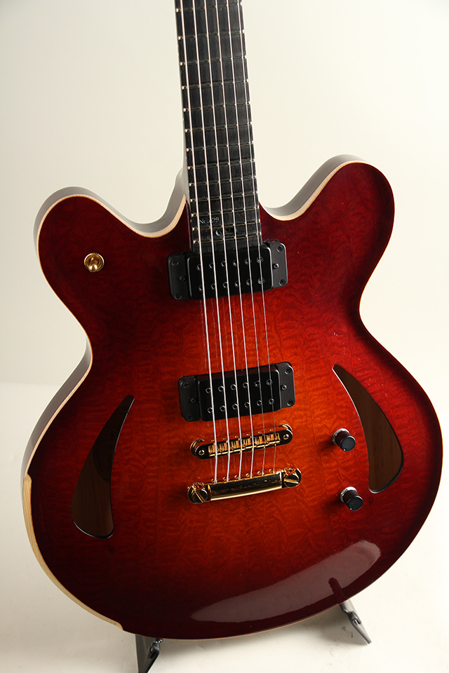 Victor Baker Guitars Model 35 Chambered Semi-hollow Quilted Mahogany veneer face ヴィクター ベイカー サブ画像2