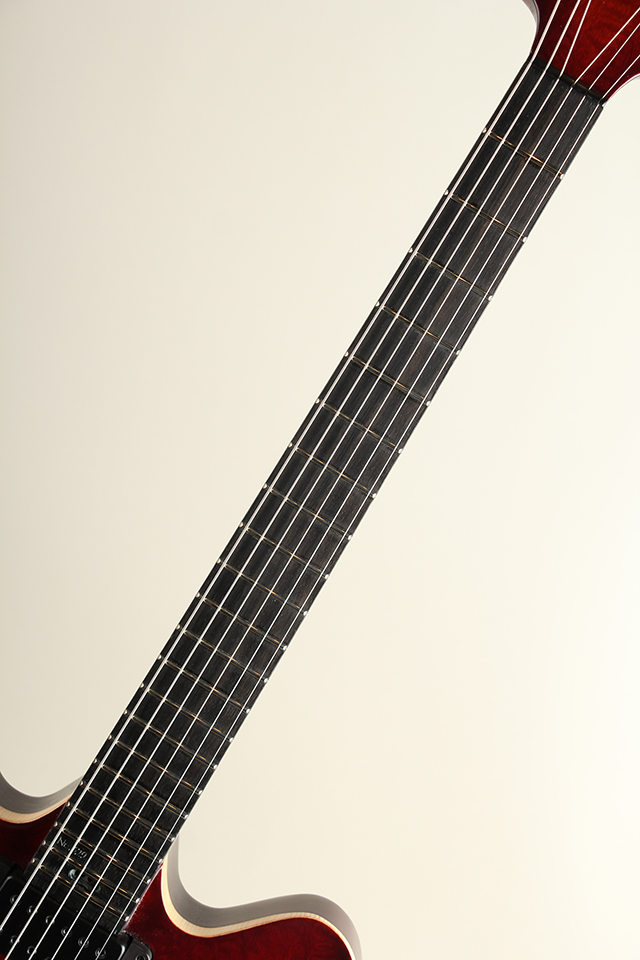 Victor Baker Guitars Model 35 Chambered Semi-hollow Quilted Mahogany veneer face ヴィクター ベイカー サブ画像5