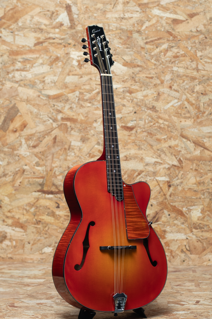 Quint Archtop Octave Mandolin Maple Short Scale Cuyaway CS クイント サブ画像2