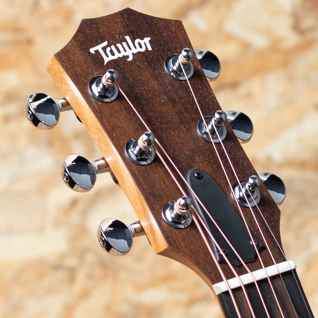 TAYLOR GS Mini-e Special Edition Trans Black テイラー サブ画像7