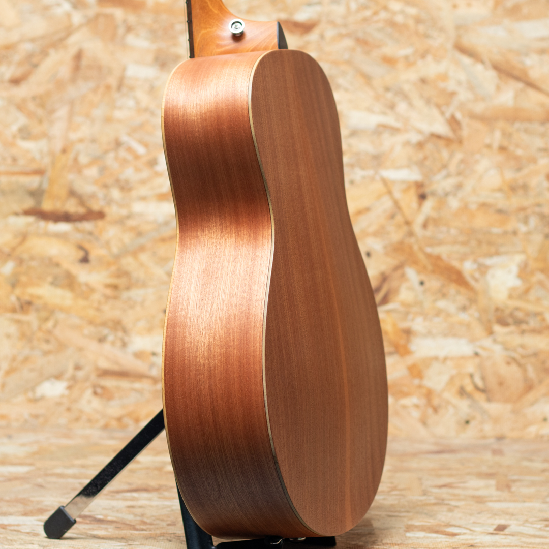 TAYLOR GS Mini-e Special Edition Sunset Fade テイラー サブ画像4