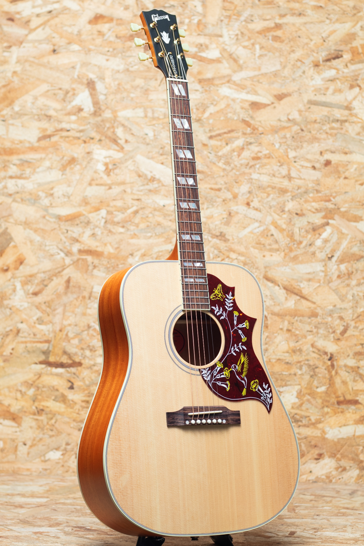 GIBSON Hummingbird Faded ギブソン kannsyasai_2024_Acoinn サブ画像2