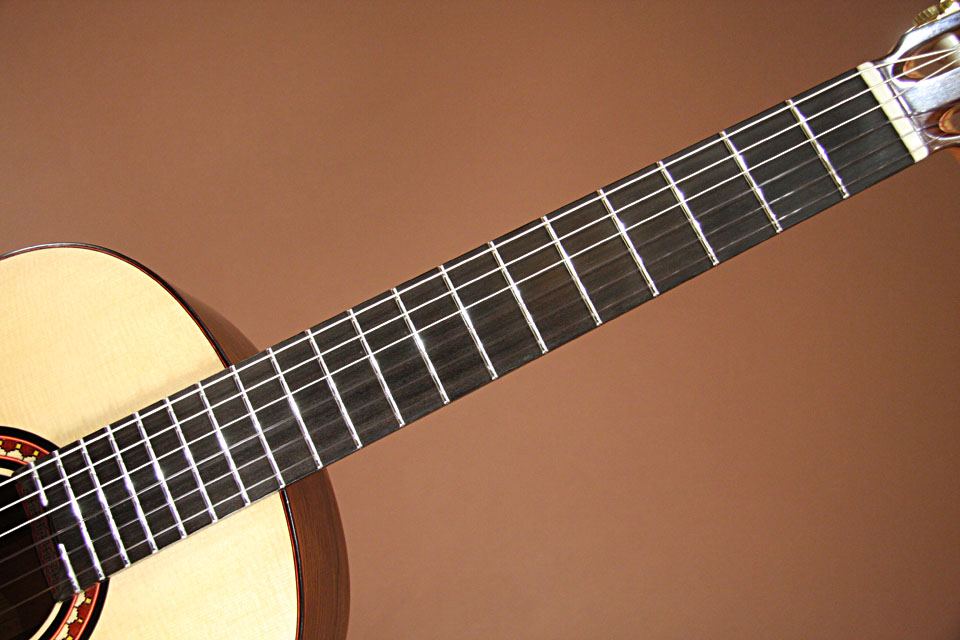 Marchione Guitars 1a Madagascar Rosewood マルキオーネ　ギターズ サブ画像6
