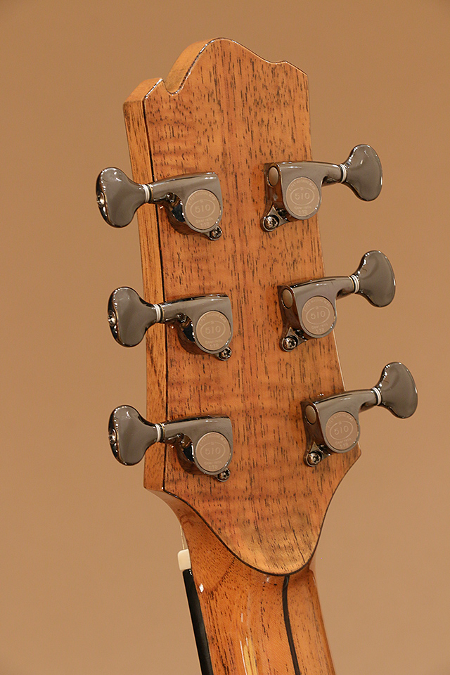 Oxwood Handmade Guitars Carmen Cocobolo Brad Daniels SM21UAG サブ画像9