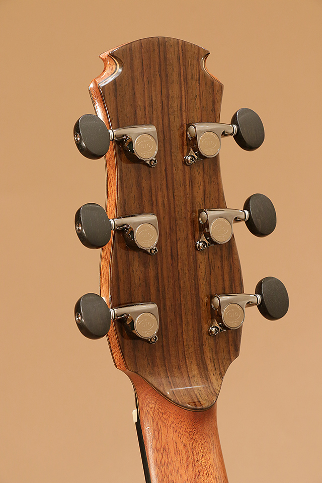 FUJII GUITARS OM-cw Amazon Rosewood フジイギター サブ画像9