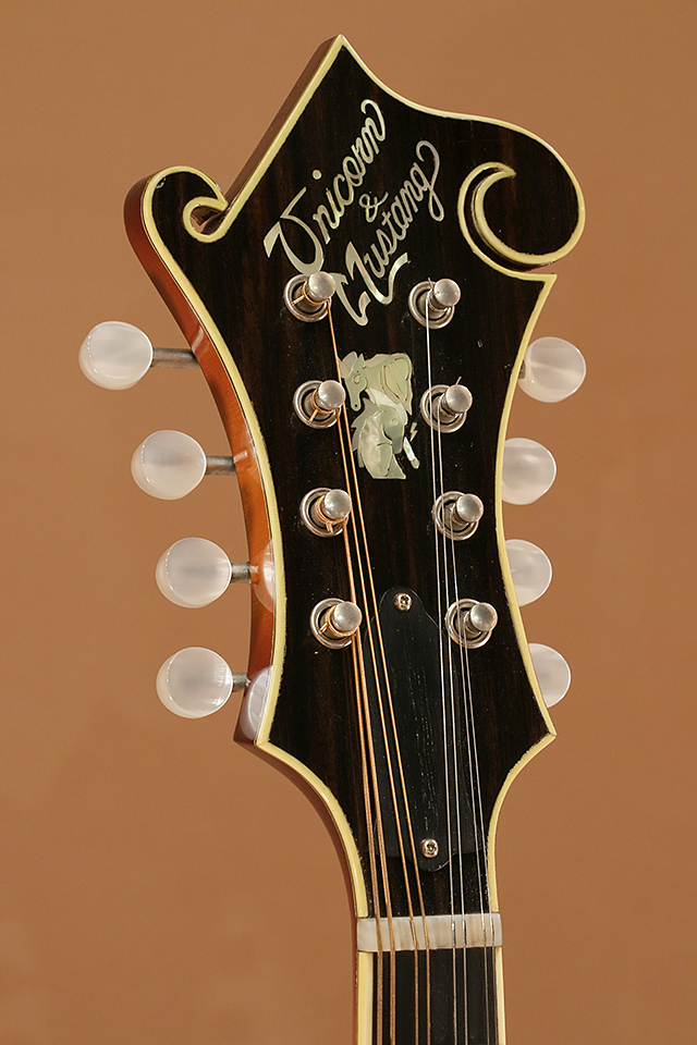 Unicorn & Mustang Mandolins & Guitars MF-5 Taku Sakashta タク・サカシタ SM21UAG サブ画像8