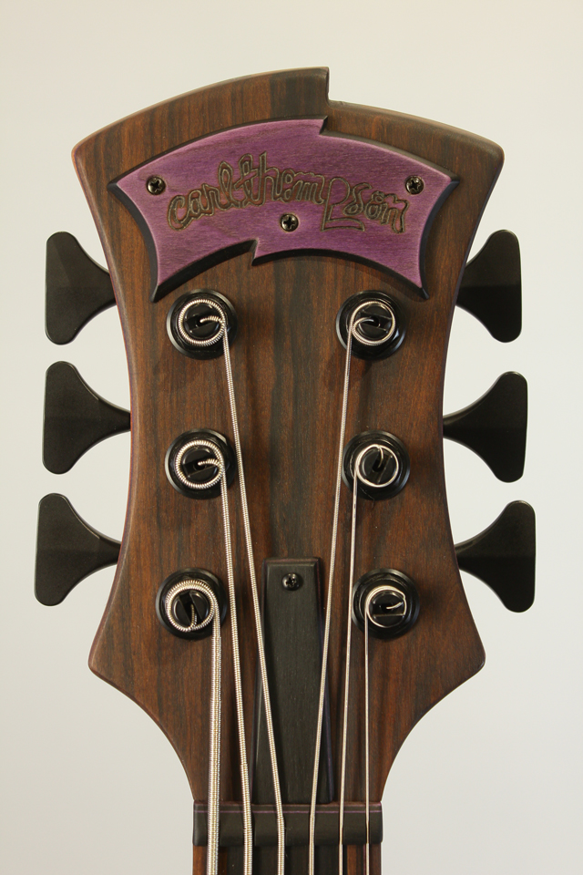 Carl Thompson Rainbow Bass 6 string Fretless / 36 カール　トンプソン Rainbow Bass 6 string Fretless / 36 サブ画像7