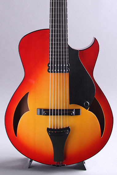 7-String 15 inch Archtop 25.5inch Scale 2010