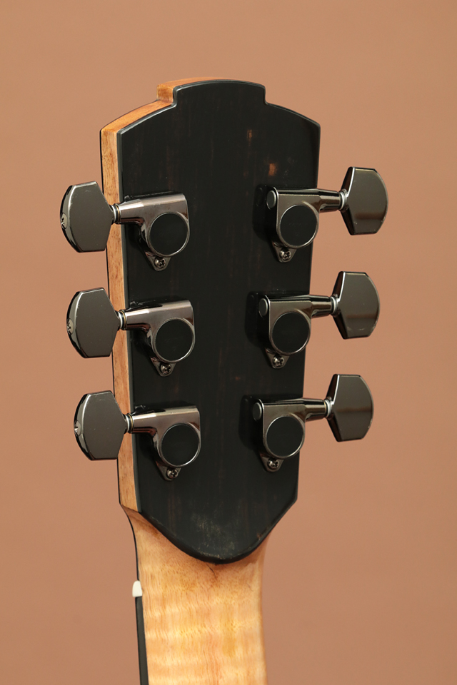 Jack Spira Guitars JS-4 ジャックスピラギターズ wpcimportluthier23 サブ画像9